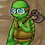 turtlecostume